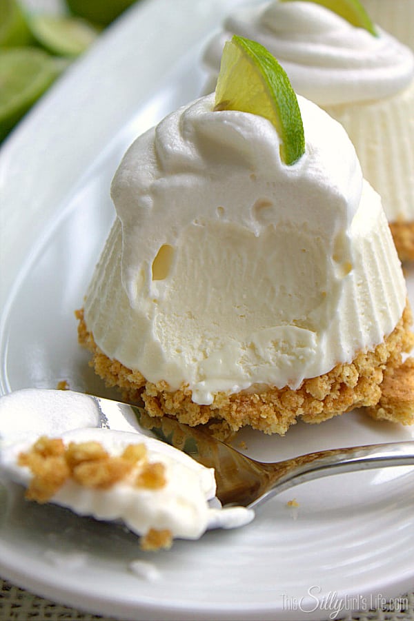 INDIVIDUAL FROZEN KEY LIME PIES